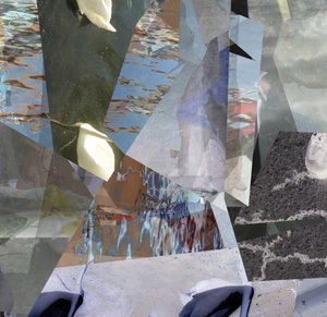 Fragmentierte Wasserschwäne