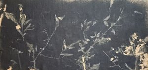 Dunkle botanische Studie von Stefano Mazzolini