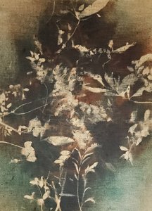 Dunkle ätherische Botanicals