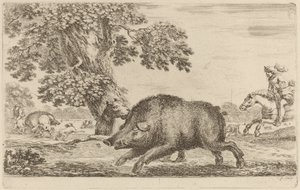 Wildschwein läuft nach links
