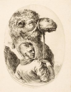 Junge hält ein Kamel am Zügel, aus Plusieurs Têtes Coiffées à la Persienne, ca. 1650 von Stefano della Bella