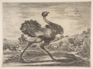 Straußenjagd, aus Tierjagden, ca. 1654