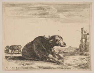 Platte 13: Büffel, der liegt, aus Verschiedene Tiere Diversi animali, ca. 1641 von Stefano della Bella
