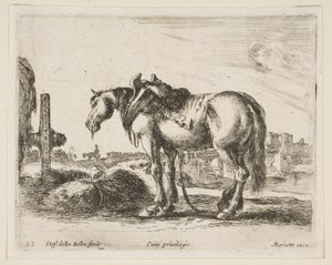 Tafel 22: Kaltblutpferd, aus Verschiedene Tiere Diversi animali, ca. 1641 von Stefano della Bella