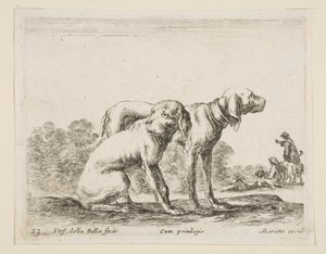 Tafel 23: zwei Hunde, aus Verschiedene Tiere Diversi animali, ca. 1641 von Stefano della Bella