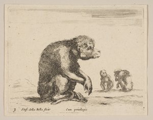 Tafel 3: sitzender Affe, aus Verschiedene Tiere Diversi animali, ca. 1641 von Stefano della Bella