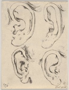 Platte 5: vier Ohren, aus Das Buch zum Zeichnen lernen Livre pour apprendre à dessiner..., ca. 1649