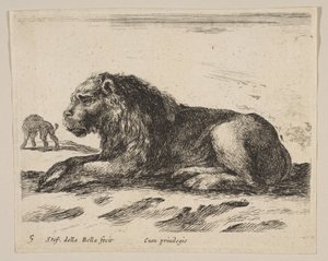 Tafel 5: liegender Löwe, aus Verschiedene Tiere Diversi animali, ca. 1641