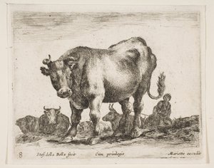 Tafel 8: Kuh, aus Verschiedene Tiere Diversi animali, ca. 1641