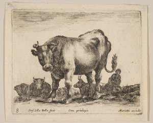 Tafel 8: Ochse, aus 