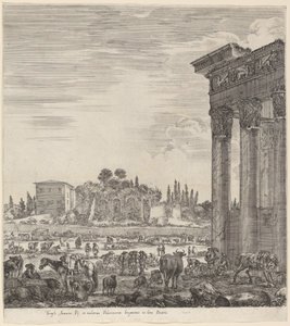 Tempel des Antonius und das Campo Vaccino