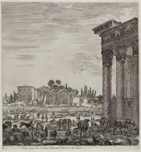 Der Tempel von Antonin und das Campo Vaccino