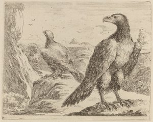 Zwei Adler, beide mit nach links gedrehten Köpfen