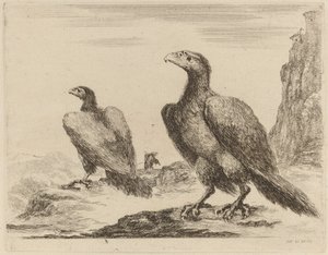 Zwei Adler, beide mit Köpfen nach links gedreht, auf einer hohen Klippe