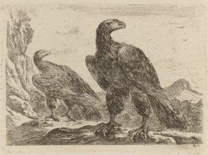 Zwei Adler, beide mit Köpfen nach rechts gedreht