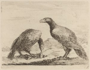 Zwei Adler, einer frisst ein kleines Lamm