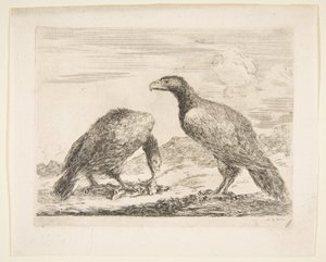 Zwei Adler, einer verschlingt ein Lamm, aus Adler Les aigles, ca. 1651