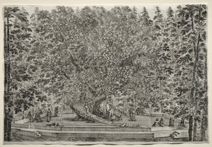 Ansichten der Villa von Pratolino: Der bewohnte Baum von Stefano della Bella