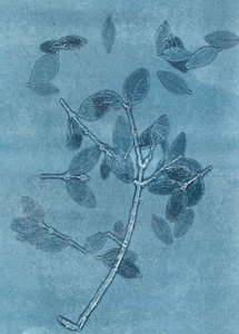 Mitternachtsgarten I von Stephen Dow
