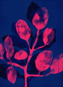 Sommergarten III pink, 2018 von Stephen Dow