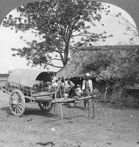 Dorfhaus aus Bambus und Blättern, Burma von Stereo Travel Co