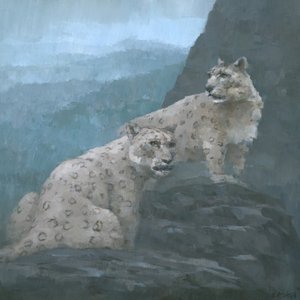 Nebelige Bergleoparden von Steve Mitchell