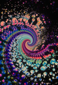 Spiraltod, 2024