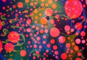 Spritzmonster, 2024 von Steve Pavlovsky