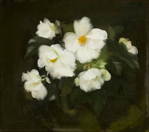 Weiße Rosen von Stuart Park