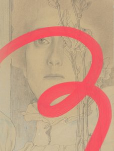 Rote Linien-Blumenporträt