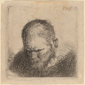Bärtiger Mann, der nach unten schaut von Studio of Rembrandt van Rijn