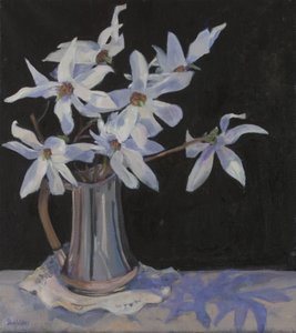 Weiße Magnolien in Silberkrug