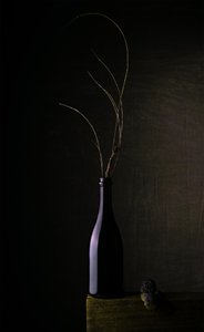 Dunkle Flasche Stillleben