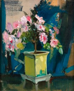 Kamelie, ca. 1920 von Sunderland Rollison