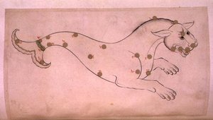Sternbilder: Cetus, der Wal von Suvar Al Kavakib