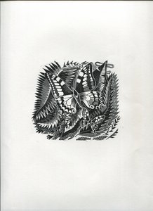 Tropische Schmetterlinge von Suzanne Cooper