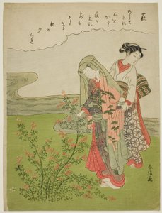 Buschklee (Hagi), aus einer unbetitelten Serie von Blumen von Suzuki Harunobu