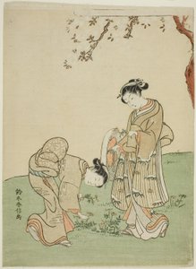 Frühlingsblumen sammeln von Suzuki Harunobu