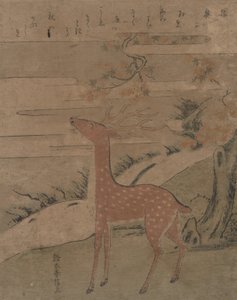 Der Schrei des Hirsches, ca. 1760 von Suzuki Harunobu