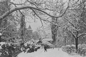 Neuenburg, Der Englische Garten von Swiss Photographer