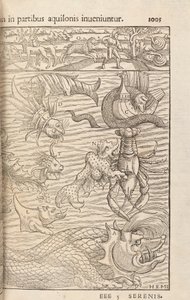 Seite 1005 aus Cosmographiae Universalis von Sebastian Muenster, Basel, 1572