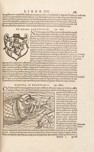 Seite 983 aus Cosmographiae Universalis von Sebastian Muenster, Basel, 1572