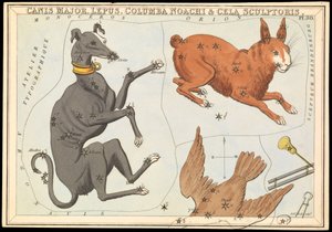 Canis Major. Lepus, Columba Noachi & Cela Sculptoris, ca. 1825
