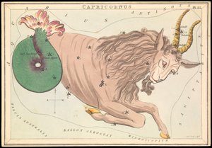 Capricornus