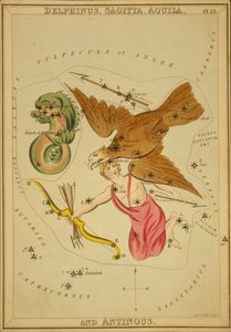 Delphinus, Sagitta, Aquila und Antinous, Illustration aus 