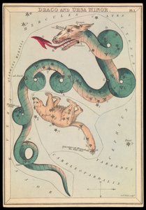 Draco und Ursa Minor, ca. 1825