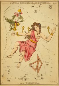 Gloria Frederici, Andromeda und Triangula, Illustration aus 