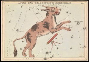 Luchs und Telescopium Hereschilii, ca. 1825