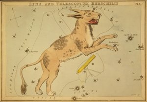 Luchs und Telescopium Herschilii, Illustration aus 