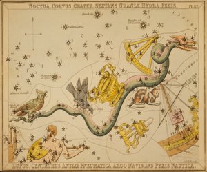 Noctua, Corvus, Crater, Sextans Uraniæ, Hydra, Felis, Lupus, Centaurus, Antlia Pneumatica, Argo Navis und Pyxis Nautica, Illustration aus 